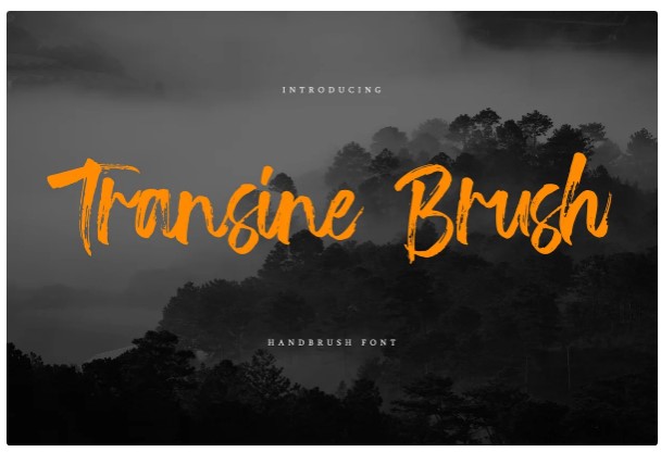[Creativemarket] Transine Brush Font_0.jpg